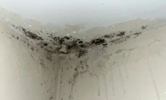 Humedad por condensación en vivienda de A Coruña